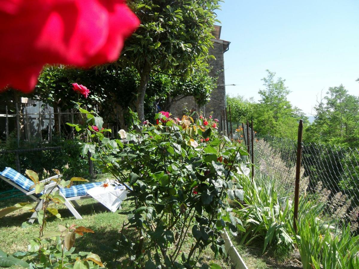 House With Stunning Views Villa Chiusdino Buitenkant foto