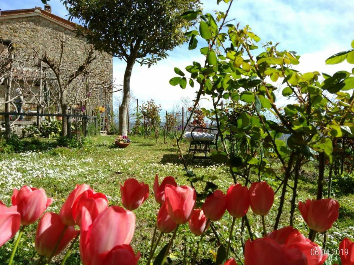 House With Stunning Views Villa Chiusdino Buitenkant foto